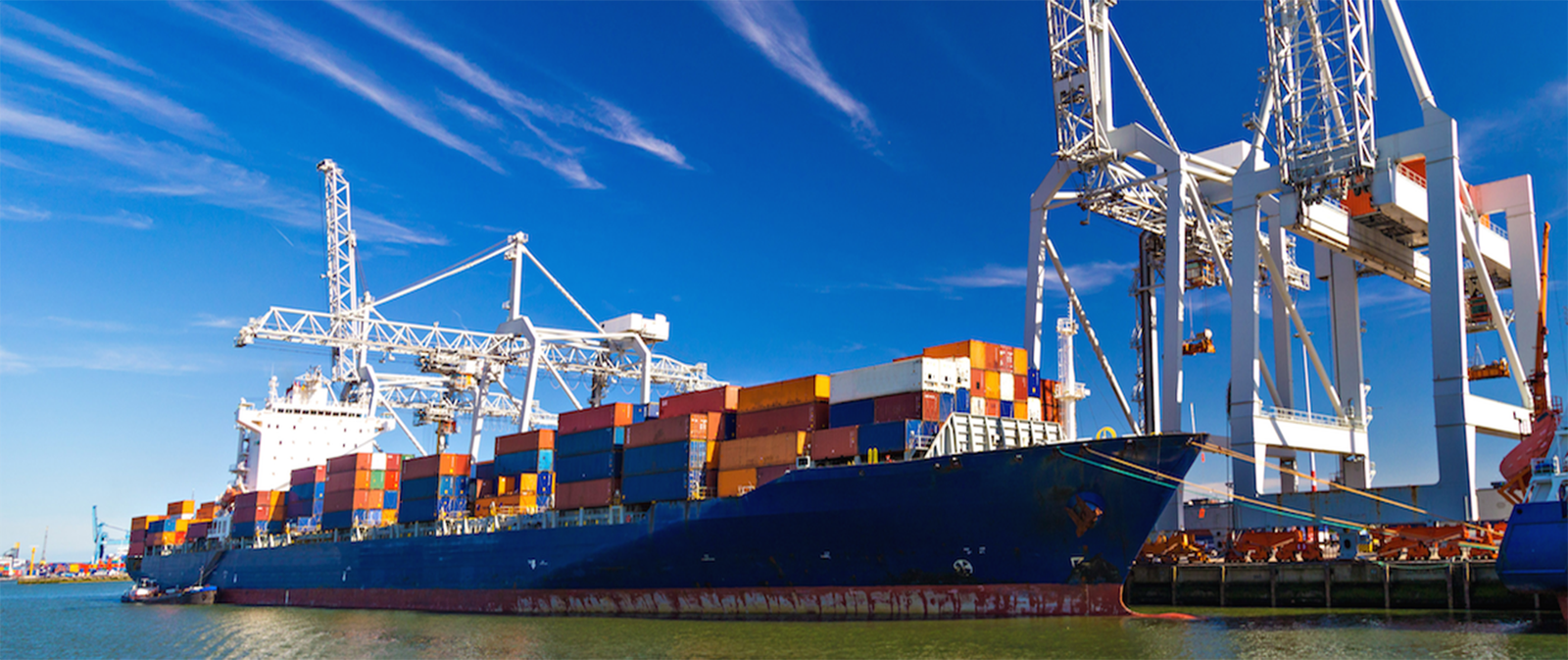 Cargo Logistics Image
